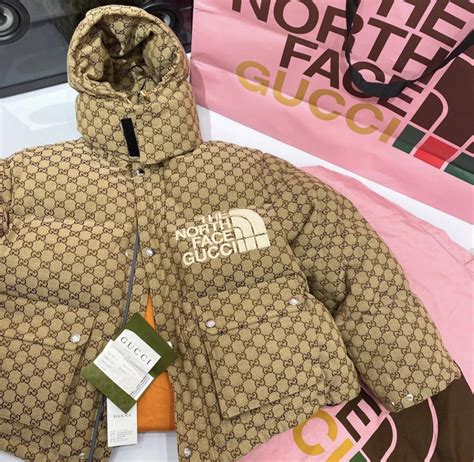 north face gucci track suit|tnf Gucci jacket.